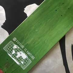 ELEMENT Skateboard Landscape South America Deck Future Is Nature Beach Litter