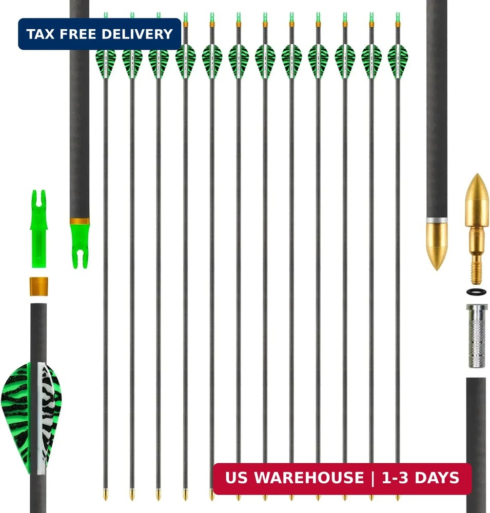 Carbon Arrows 31in for Hunting & Target Practice 350 Spine, 12 Pack with Removab