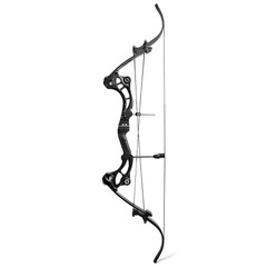Compound Bow Set 40-55lbs Adjustable 320FPS Fishing Hunt Recurve Archery Shoot