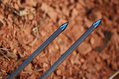 EASTON MATCH GRADE FIELD POINTS 100 GRAIN 17/64″ 9/32″ 19/64″ 5/16″ 11/32″ 6PK