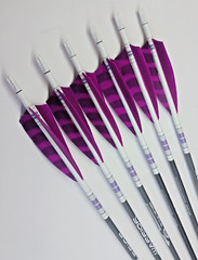 Goldtip warriors arrows for Traditional archery