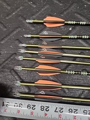 8 Easton T64 Arrows Fletched And Cut To 30 1/2 See Photo Some Crested Lighted N