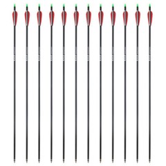 12PCS 28″ Carbon Arrows 2.95″ Vane Spine 500 Compound Recurve Bows Rage Hunting