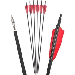 12/24pcs 31″/30″ Carbon Arrows Quiver 100 Grain 2 Blade Broadheads Hunting Shoot