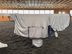 78” Bucas Buzz Off Full Neck Horse Fly Sheet – Used