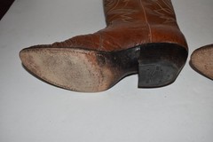 DAN POST WESTERN BOOTS- HONEY GOLD RUST LIZARD SKIN (BSW14)