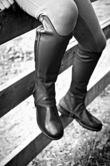 ProChaps The FIT Half Chap Brown Equestrian Horse Riding NEW