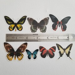 40pcs Clear Transparent Butterfly Sticker Pack For Scrapbooking , Glass Bottle