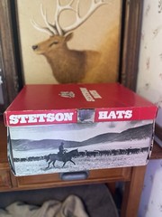 4X Stetson Cowboy Beige-Tan Feather Hatband Size 6 3/4