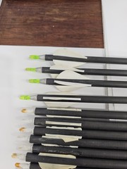 11 Black Eagle Magnum Arrows Shafts + 4 X-Ringer HV By Victory Arrows 350 +1