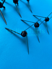 Turkey Head Hunting Point Archery Fixed Three Blade Broadheads 125 Grain 3 3/4″