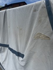 81” Bucas Buzz Off Full Neck Horse Fly Sheet – Used