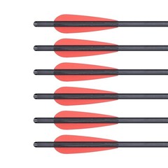 20in Crossbow Bolts Carbon Crossbow Arrows Replaceable Tips for Hunting Shooting