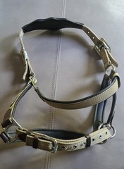 LeMieux Capella Halter – Full