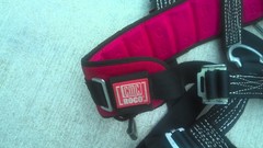 CMC Roco Rescue Harness Regular