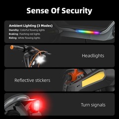 E-Scooter Up to 25MPH 35Miles 1000W Max Motor 624Wh Battery Fingerprint Unlock