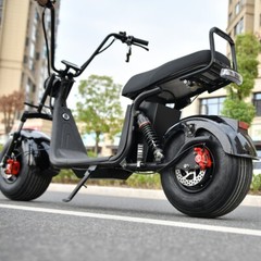 ehoodax 18 Inch Fat Tire Moped 3000W Motor Max Speed 28MI Removable Battery