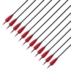 30 Carbon Arrows Hunting Arrows with 4 Shield Shaped Turkey Feathers Spine 400 f