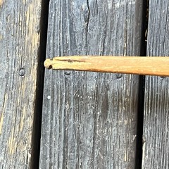 Handmade Antique Wood Recurve Bow 66” – *Make Not Known