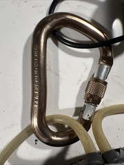 Black Diamond Focus SA Harness Jetstream Type C XL With Black Diamond Screwgate
