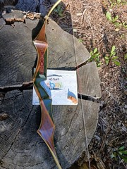Vintage Bear Archery Tamerlane recurve 32# 1969