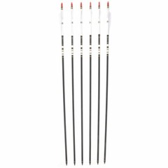 12x 30″ Archery Carbon Arrows Spine 500 Turkey Feather For Compound/Recurve Bow
