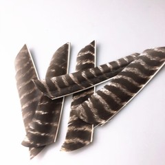 Archery Full Length 7-9in Feather Fletches Turkey Fletching Bamboo Wooden Arrows