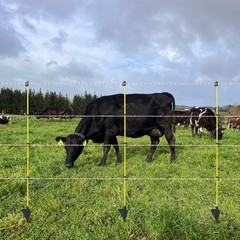 45 inch Electric Fence Posts Step in Fiberglass Insulated Plastic Electric Fe…