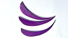 4″ New, FREE SHIPPING!! Real Turkey Feather Fletching for Arrows& Darts 50 Pack