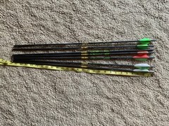 Gold Tip velocity 400—–7 arrows