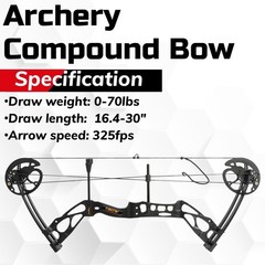 Archery Compound Bow Arrow Set 325fps 80% Let-Off 0-70Lbs Target Hunting LH/RH