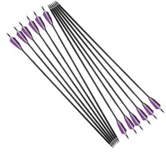 12Pcs 30in Carbon Arrows SP500 Turkey Feather Archery for Compound/Recurve Bow