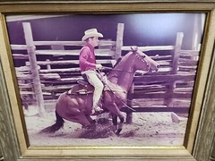 Large Vintage Dick Pieper Cutting Horse Picture Framed 16×20 Great Action Shot