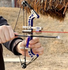 Mini Bow Kit Compact 9.8-Inch High-Power Stainless Steel Compound Bow
