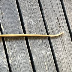 Handmade Antique Wood Recurve Bow 66” – *Make Not Known