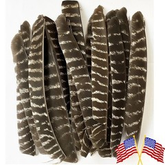 50X Archery Full Length Arrow Feathers Fletches Turkey Fletching Shaft DIY RW LW