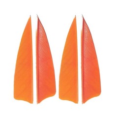 AMEYXGS 50Pcs Arrow Feathers 3″ 4″ 5″ Turkey Feather Fletching Vanes Rignt Wi…