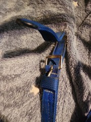 Equestrian Rubber Grip Schooling Reins With Buckle Ends..blue Nylon..apprx 10 Ft