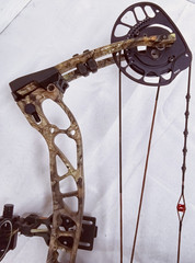 PSE Brute NXT Compound Bow / USA SHIPPING ONLY