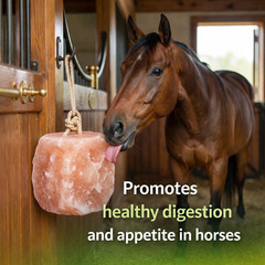 Himalayan Salt Lick Block with Rope 5-6 lb Multi Pack for Horses & Livestock
