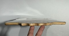 Steve Caballero Signed Vans shaped skateboard limited numbered 221/250 RARE
