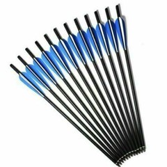 12X Carbon Crossbow Bolts 20in OD8.8MM Half Moon Nock for Archery Hunting Target