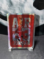 1988 to present Michael Jordan RARE Prismatic Prism Jewel Vending Sticker Bulls