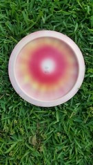 Innova TeeBird Pro 1st Run Factory Dye Lightweight 150g One of a Kind!