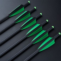 Archery Crossbow Arrows 20In Carbon Arrows +/or Quiver Hunting Shooting Target