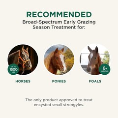 Quest Gel Moxidectin Horse Dewormer Early Grazing Season 0.5oz Sure-Dial Syringe