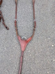 Crystal Schockemohle Delaware Bridle & Matching St. Lewis Breastplate 🤩