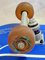 Hobie Signature Skateboard Vintage 2000 W/ Pulse Trucks And Wheels, 31 Inches