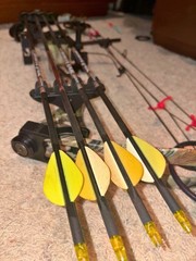 Bear Whitetail II Compound Bow Youth and Women Right Hand with Upgrades and Case
