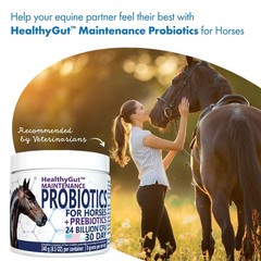 Equa Holistics HealthyGut™ Probiotics for Horses Maintenance 30 Days, Horse